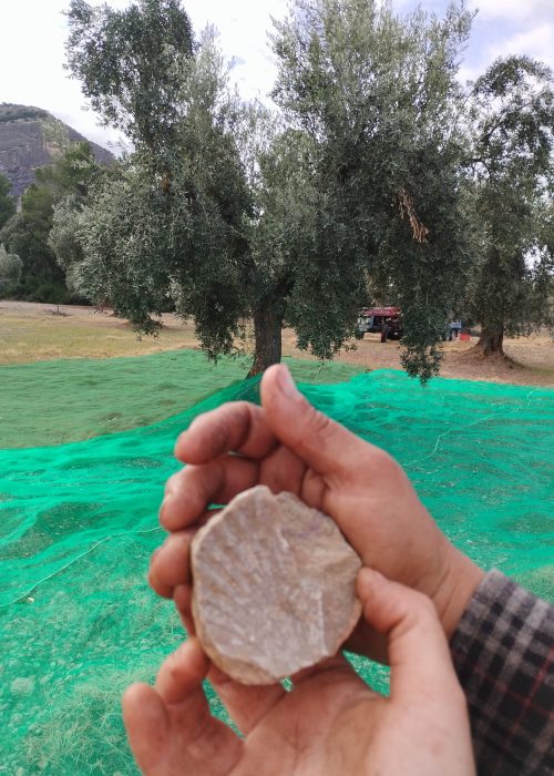 27ae43b5 ea68 4269 9558 b28162e29395