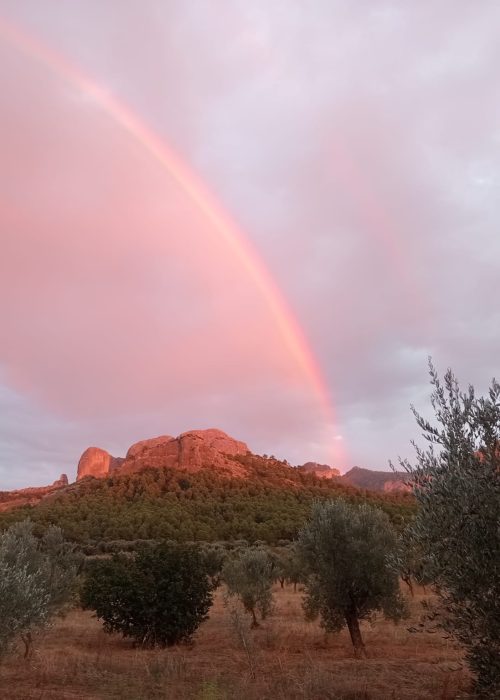 91bd893e ed73 492d 97c8 83dd37c1215a