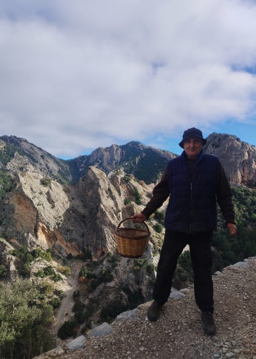 b9a9c452 d5a1 4ccb bc8e e1b0cdf1c001