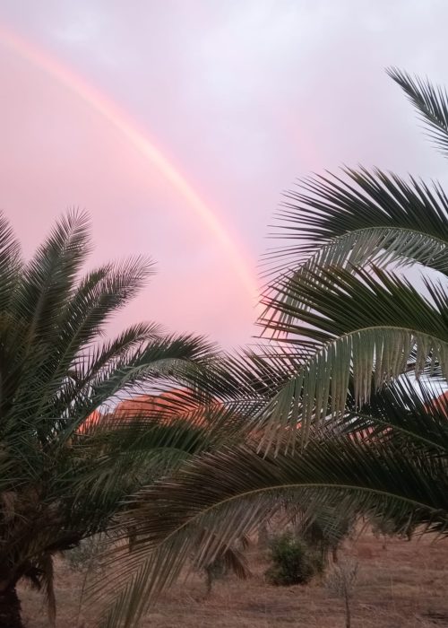 fff66d96 7014 4ae9 8130 182cfe224096